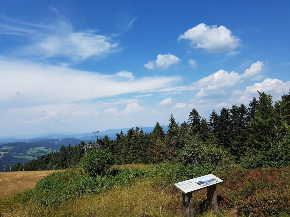 Апартаменты Traumurlaub Im Bayerische Wald Санкт-Энгльмар Экстерьер фото