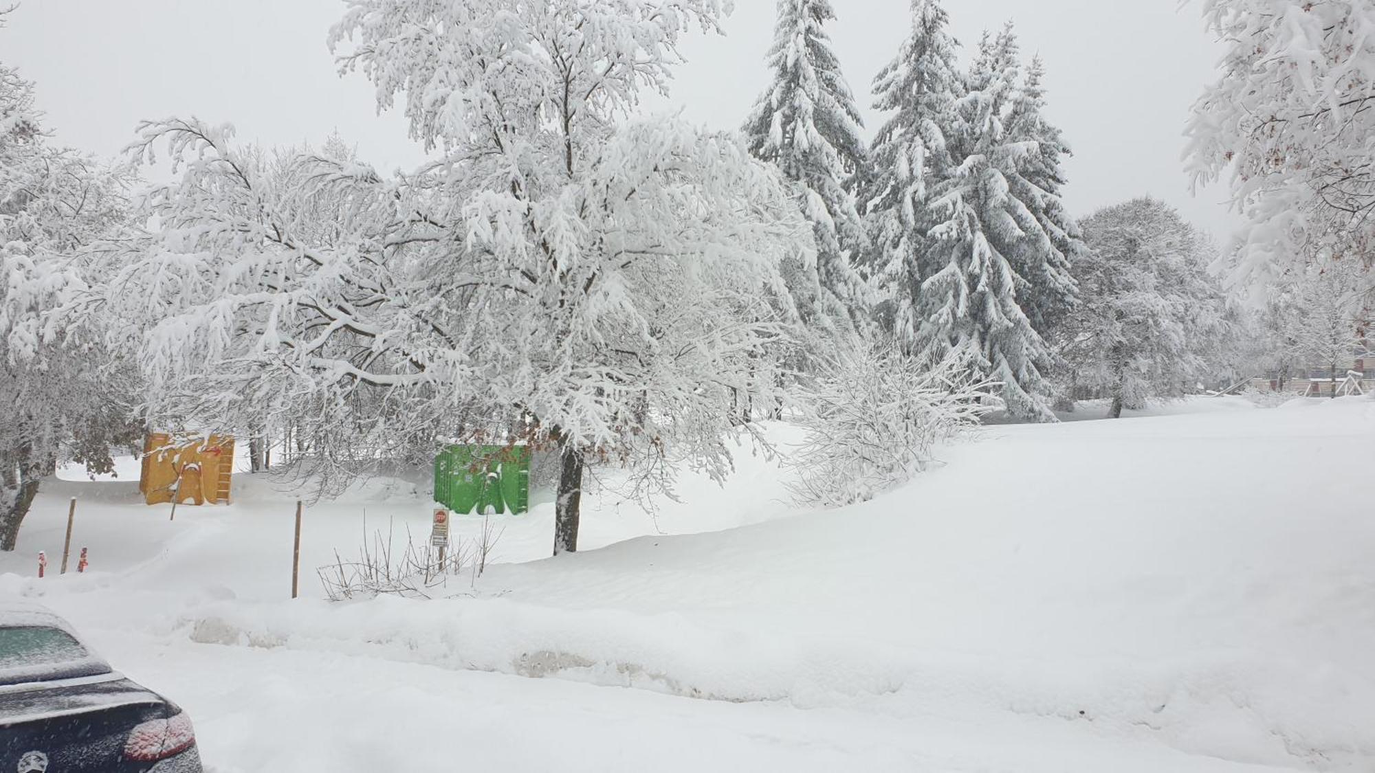 Traumurlaub Im Bayerische Wald Санкт-Энгльмар Экстерьер фото
